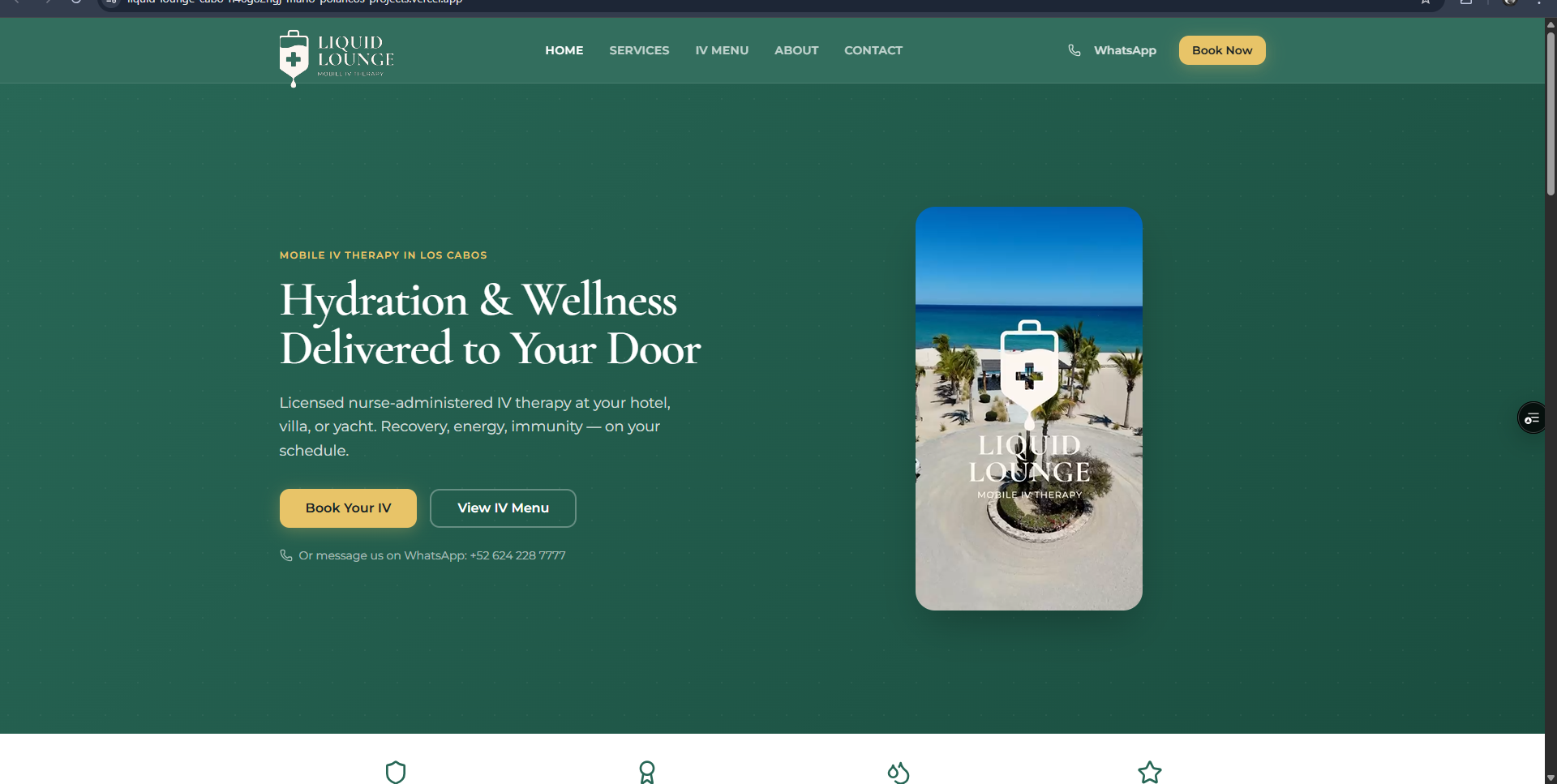 Liquid Lounge website